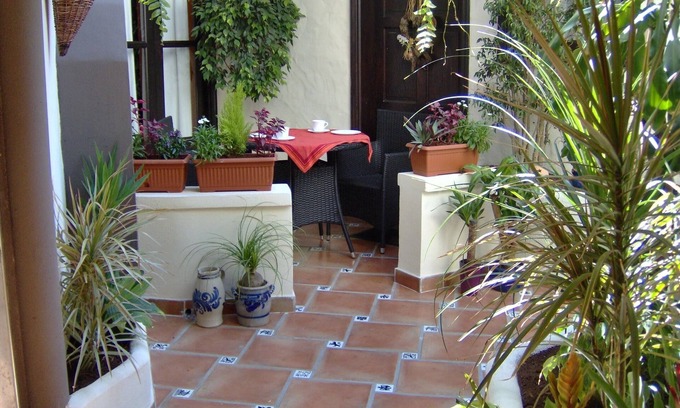 El Guincho Apartment | Vacation apartment/apartment for 2 guests with 40m² in Icod de los Vinos (120164)