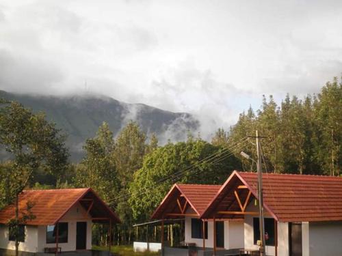 Chikkamagaluru House | Vamoose Clover Leaf