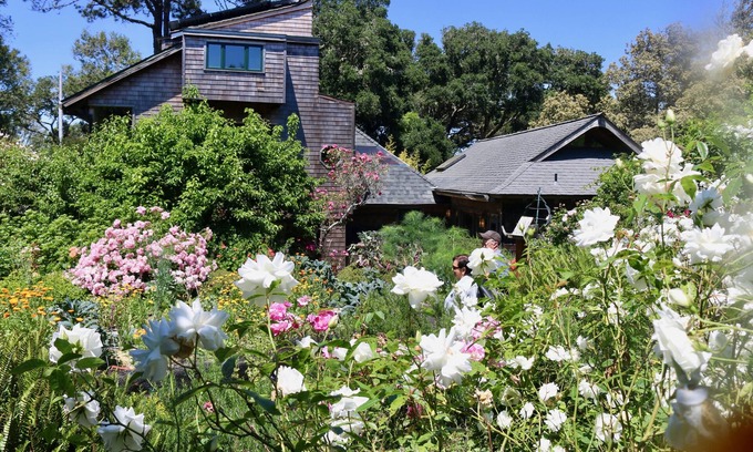Inverness House | Van der Ryn Eco-Refuge: Architecture in Nature