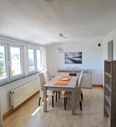 Mainz-Bingen Apartment | Vater Rhein
