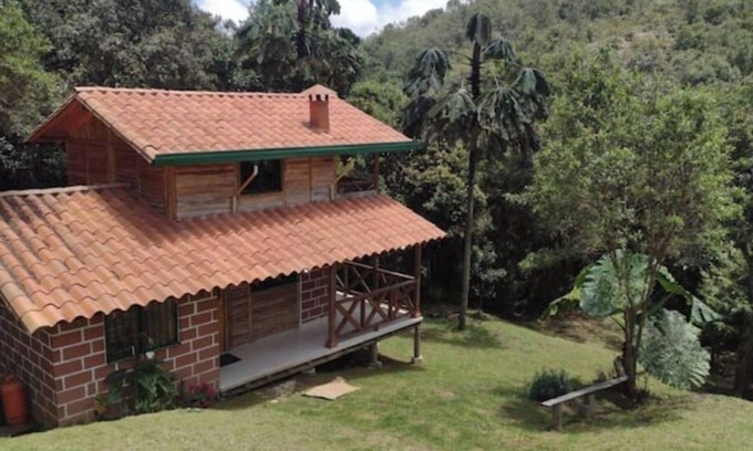 El Rosario Cabin | Verde Vivo - Divine cabin in the middle of the forest