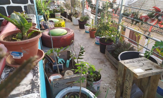 Praia Bed & Breakfast | Very central with space for socializing, breakfast $. Close to everything!