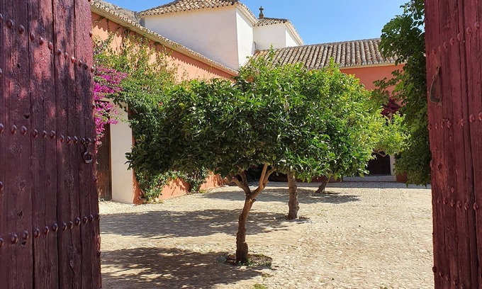 Teba Hotel | Very comfortable hotel, nature and art in a beautiful place full of history.