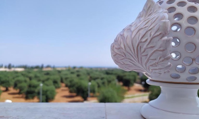 Fasano Hotel | Vigna Marina Hotel