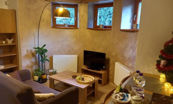 Jablonec nad Nisou Apartment | Vila apartmán U Přehrady