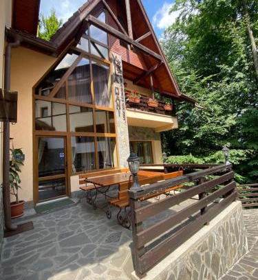 Sinaia Apartment | Vila Dani