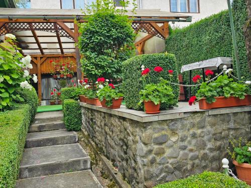 Sovata Apartment | Vila Domokos