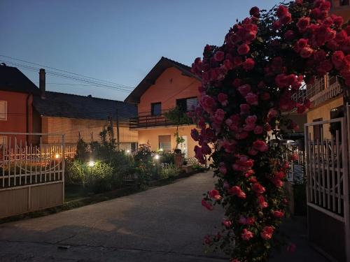 Prahovo House | Vila Nina