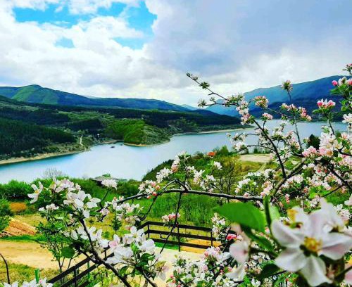 Stara Planina Apartment | Vila Panorama