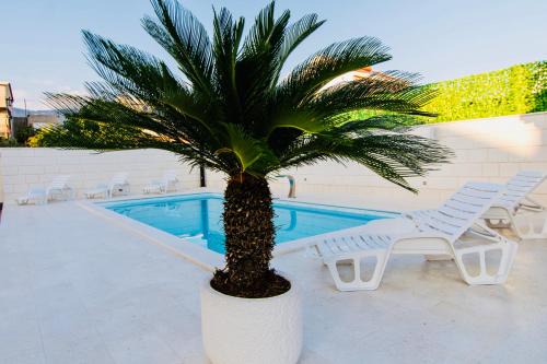 Kastel Novi Apartment | Villa Aurora