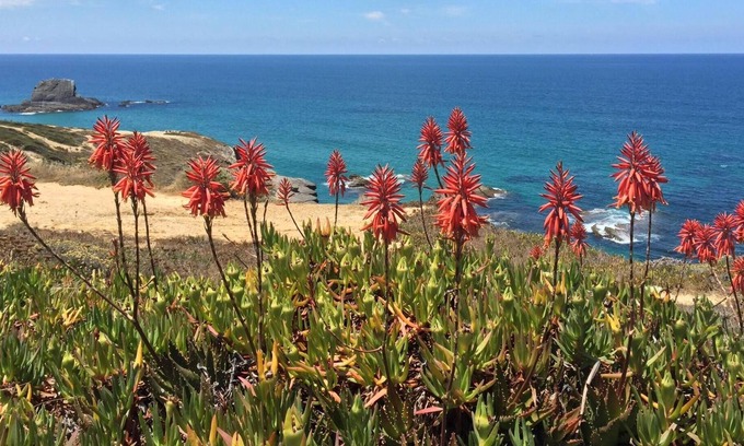 Zambujeira do Mar Villa | Villa by the sea with spectacular panoramic views of the Atlantic Ocean