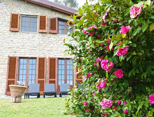 Pescia Villa | Villa Camelia Tuscany