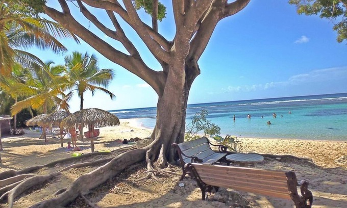 Anse des Rochers House | Villa Creole - Intimité Totale