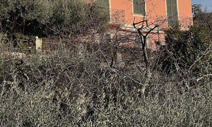 Recco Villa | VILLA DEGLI ULIVI - Splendid Villa for 4-6-8 people, 5 minutes walk from the sea