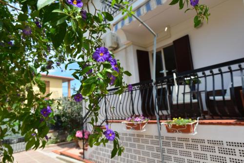 Pula Apartment | Villa Elisabetta Apartments
