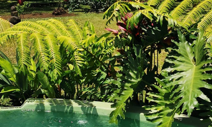 Taravao Villa | VILLA KOKU'U with private pool on the Taravao Plateau