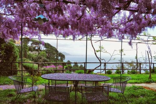 Raito House | Villa Maria Antonietta