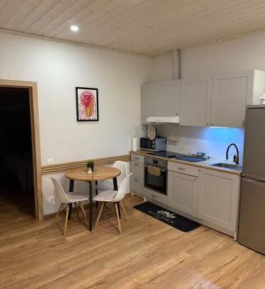 Siauliai City Center House | Villa Midesta