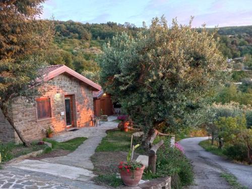 Laureana Cilento House | Villa Nigro - Suite Zagare