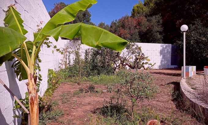 Roca Vecchia Villa | Villa "Oasi" in Roca Vecchia, detached house with large garden.