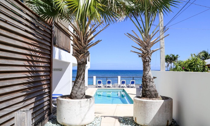 Aguacate Apartment | Villa Shacks - Unit 4
