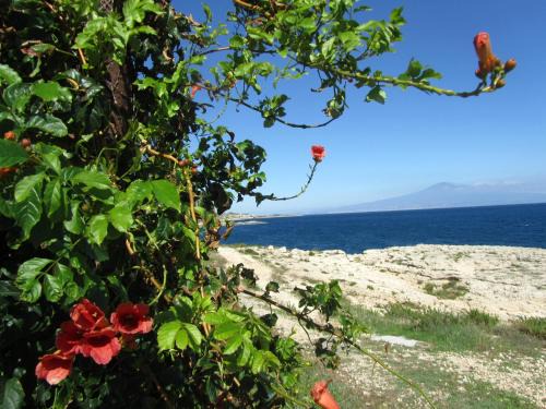Augusta Apartment | Villa Sicily Sul Mare Tra Catania e Siracusa