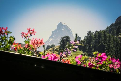 Zermatt Apartment | Villa Taugwalder I Monte Rosa