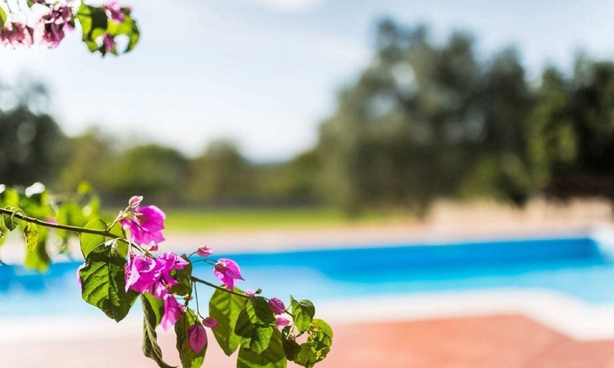 Stifanici Cottage | Villa with perfect sun deck overlooking the pool in the heart of Istria