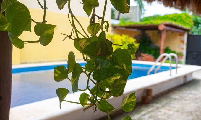 Luis Donaldo Colosio Villa | Villa Zulisus