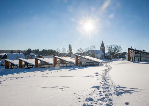 Neuastenberg House | Villas Winterberg