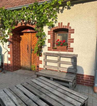 Starovicky Apartment | Vinařství Adamevino