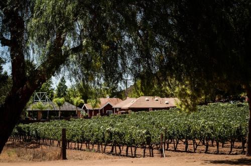 San Antonio de las Minas Ski Chalet | Vineyard lodge in Valle de Guadalupe with pool