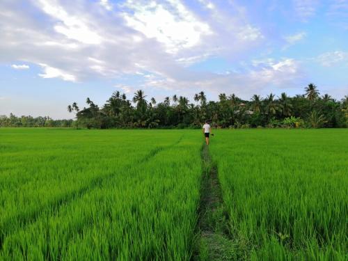 Yodakandiya House | Viveka Inn Guest and Yala Safari