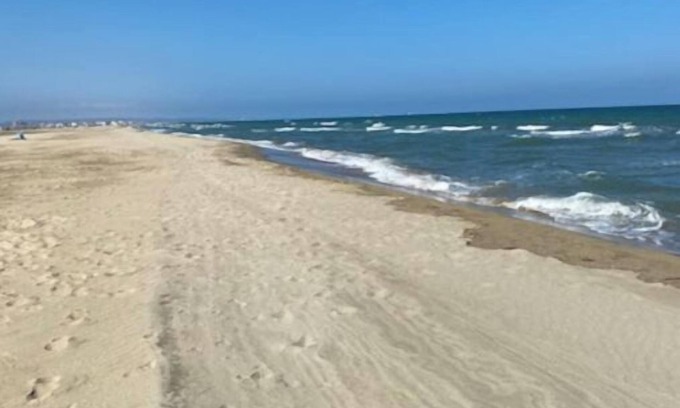 La Palme House | Vrbo Property