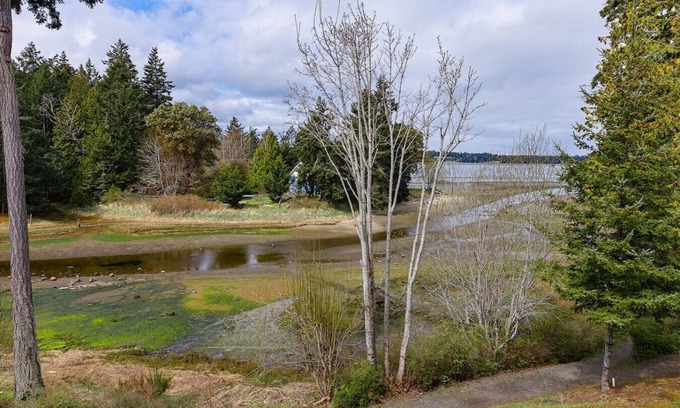 Regional District of Nanaimo Apartment | Wake Up to the Ocean View Suite A