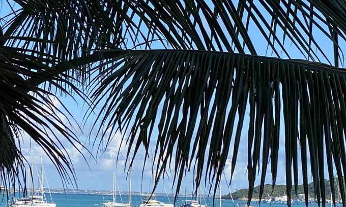 Marigot Apartment | Waterfront studio with sea view