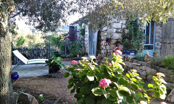 San Pantaleo Other | We Are a Farm&Guesthouse Only 20min from the Costa Smeralda beach