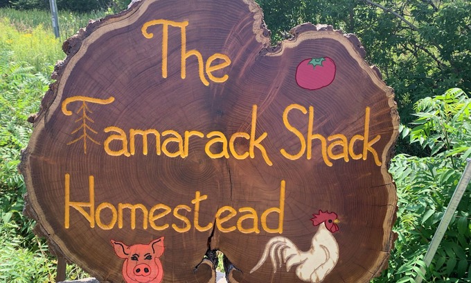 Stirling House | Wee Willa at The Tamarack Shack Homestead. Friendly farm animals to visit with!
