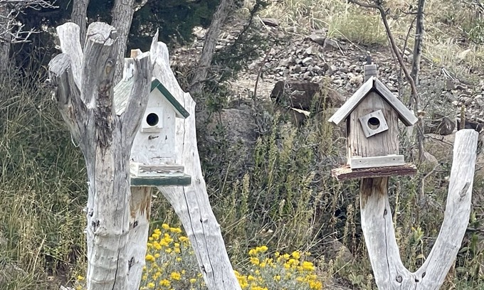 Pine Valley Cottage | Welcome to “The Cubbie Hole!” HOLY COW dogs stay for FREE!
