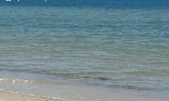 Vineyard Haven House | West Tisbury home Walk to Beach and Pond