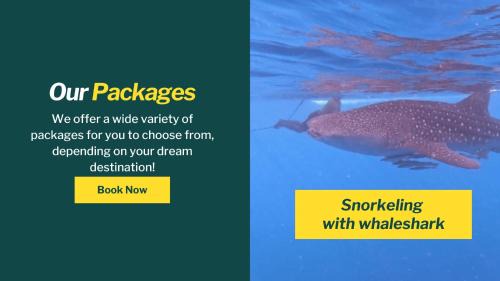 Sumbawa Besar Other | Whale shark Sumbawa Tour
