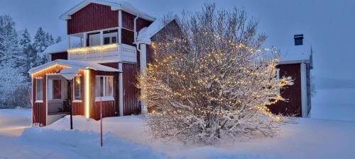 Langsele Bed & Breakfast | Wild Power Guesthouse