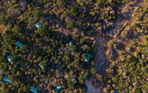 Palatupana Other | Wild Trails Yala by Mili