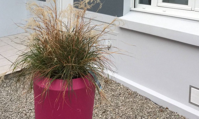 Wimille House | Wimereux Cottage 7 people 2 steps from the beach and the center