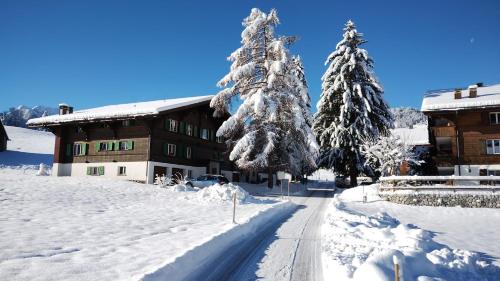 Zweisimmen Nr Gstaad Apartment | Wispile Holiday apartment