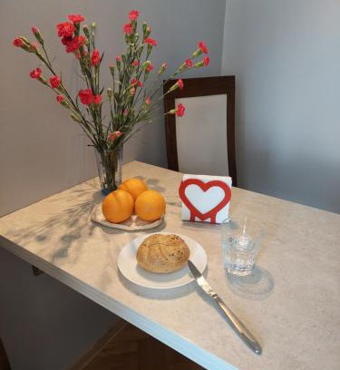 Rumia Apartment | Wygodny Przestronny Apartament Janowskie Błonia Rumia
