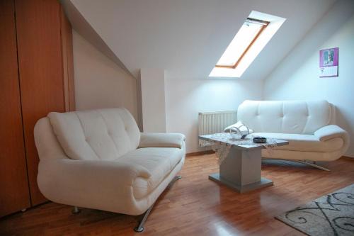 Tirgu Mures House | XXL-House