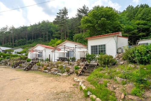 Yangyang House | Yang yang Sanjang Love Story