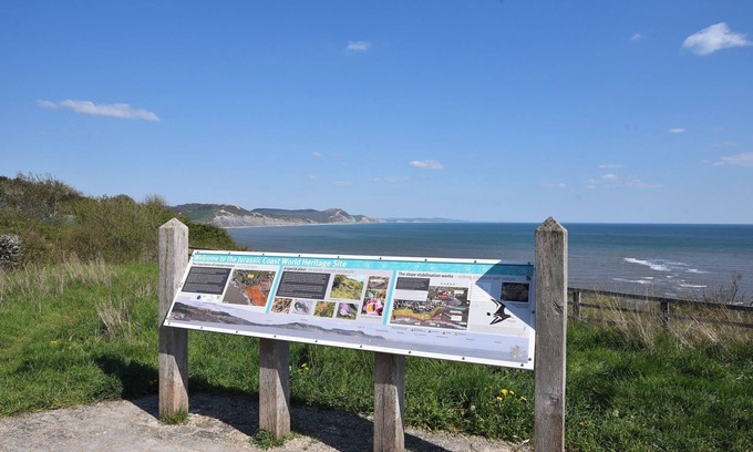 Lyme Regis Cottage | Yard Cottage