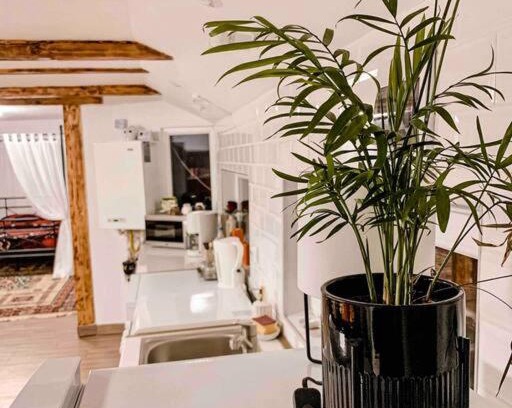 Rasnov Apartment | Yard Studio Râșnov